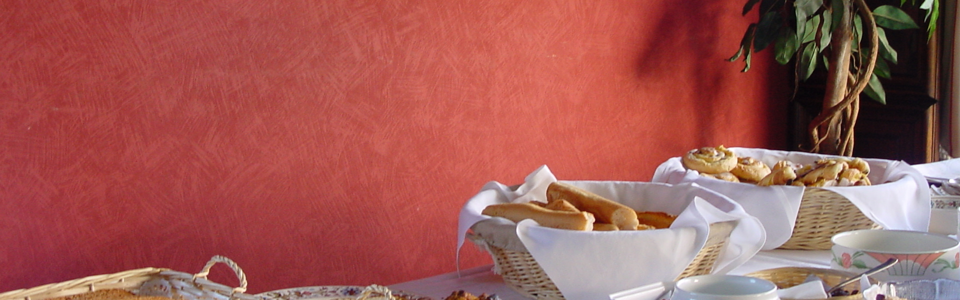 banner8