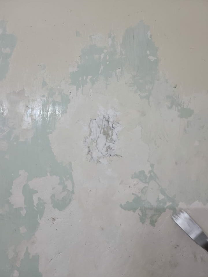 OMS Penetrating Sealer 724 SF