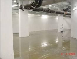 OMS ECO-Matt 100 MN