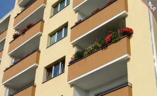 performance coatings